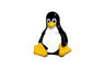 Linux Kernel